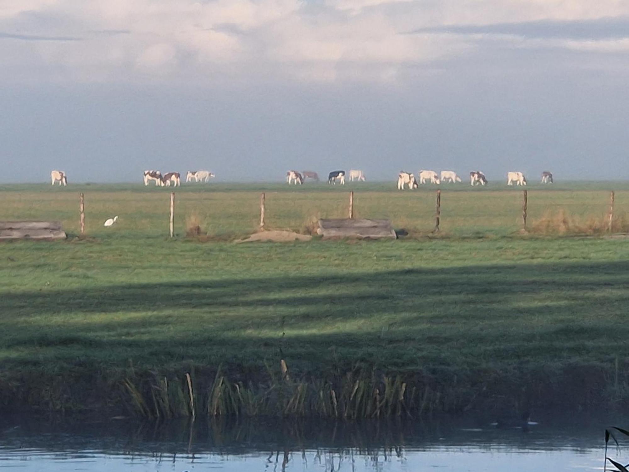 B&B Zusenzomer Oostwoud Exteriér fotografie